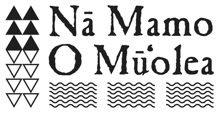 NMOM Logo 2013