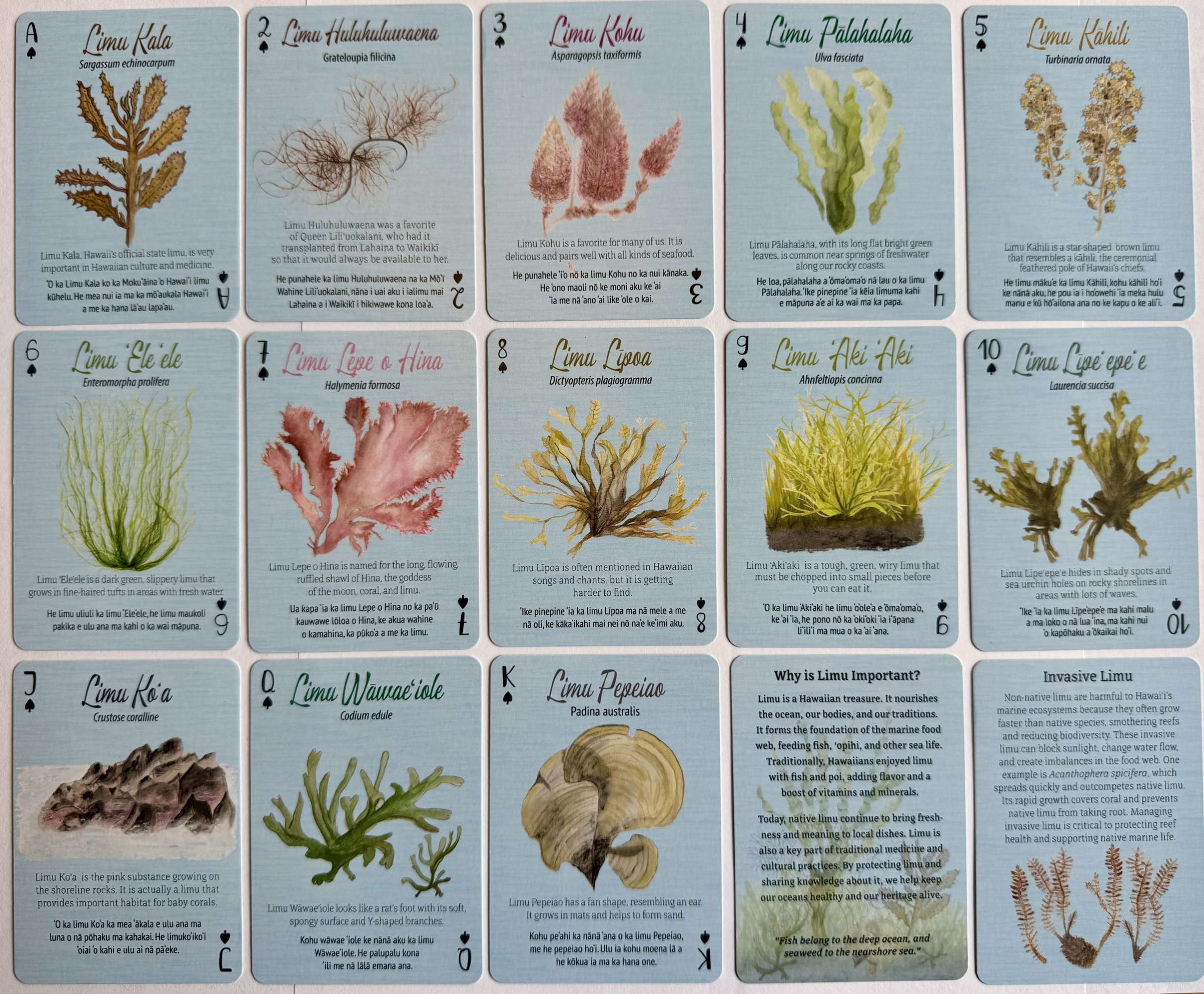 Limu-deck-cards