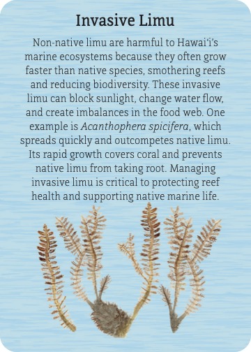 cards.special.invasive