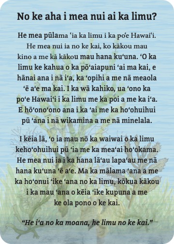 cards.special.meanui