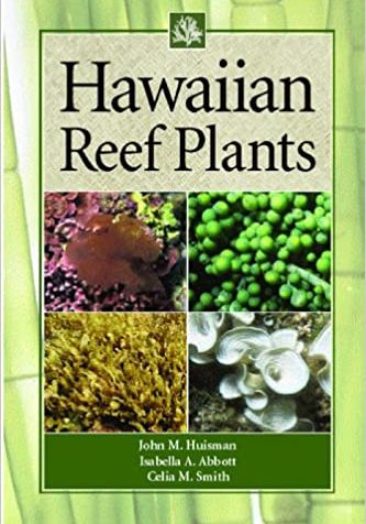 Hawaiian Reef Plants